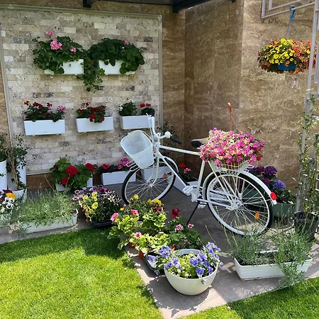 فندق Arletti روس